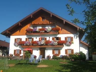 Holiday Apartment in Mondsee (Salzburg und Umgebung) or holiday homes and vacation rentals