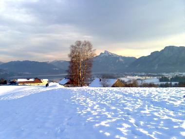 Holiday Apartment in Mondsee (Salzburg und Umgebung) or holiday homes and vacation rentals