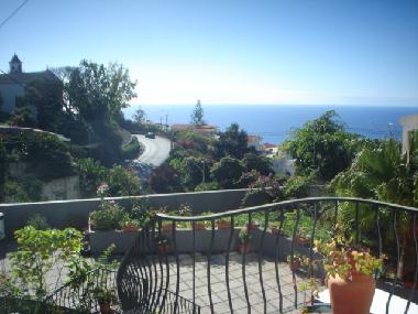 Chalet in Boa Nova/Funchal (Madeira) or holiday homes and vacation rentals