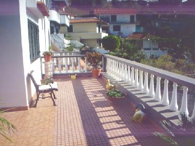 Chalet in Boa Nova/Funchal (Madeira) or holiday homes and vacation rentals