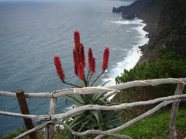 Chalet in Boa Nova/Funchal (Madeira) or holiday homes and vacation rentals