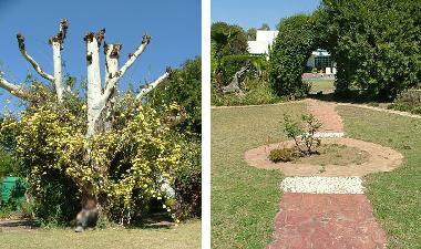 Holiday House in Johannesburg (Gauteng) or holiday homes and vacation rentals