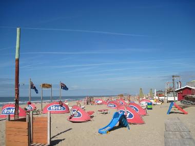 Bed and Breakfast in Zandvoort (Noord-Holland) or holiday homes and vacation rentals
