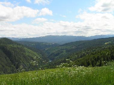 Bed and Breakfast in Havdal (Sor-Trondelag) or holiday homes and vacation rentals