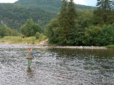 Bed and Breakfast in Havdal (Sor-Trondelag) or holiday homes and vacation rentals