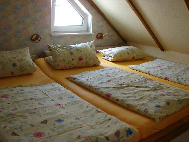 Holiday House in Krakow am See  (Mecklenburgische Seenplatte) or holiday homes and vacation rentals