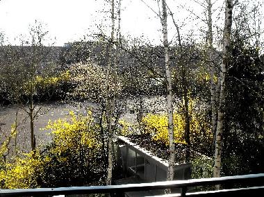 Holiday Apartment in Bergheim (Region Cologne) or holiday homes and vacation rentals