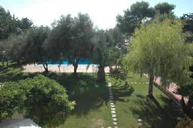 View of the garden
