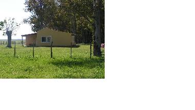 Holiday House in 200000 (Soriano) or holiday homes and vacation rentals