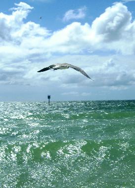 Holiday House in Cape Coral (Florida) or holiday homes and vacation rentals