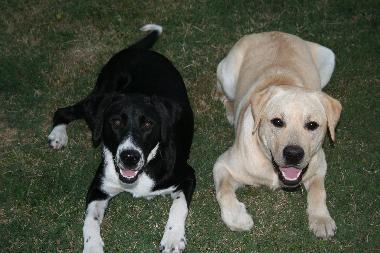 Holiday House in Comberouger (Tarn-et-Garonne) or holiday homes and vacation rentals