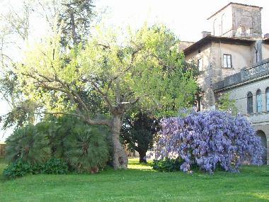 Holiday Apartment in Pisa  (Pisa) or holiday homes and vacation rentals