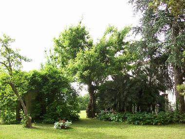 Holiday Apartment in Pisa  (Pisa) or holiday homes and vacation rentals