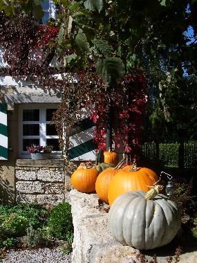Holiday Apartment in Blaufelden-Herrentierbach (Hohenlohe) or holiday homes and vacation rentals