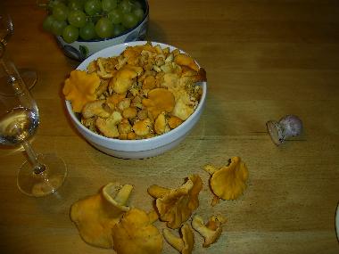 Holiday Apartment in Hochkrimml (Pinzgau-Pongau) or holiday homes and vacation rentals