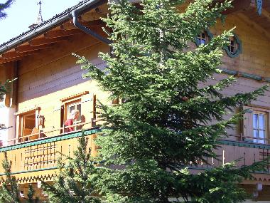Holiday Apartment in Hochkrimml (Pinzgau-Pongau) or holiday homes and vacation rentals