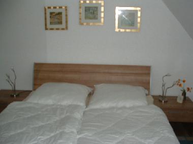 Holiday Apartment in Zingst (Fischland-Dar-Zingst) or holiday homes and vacation rentals