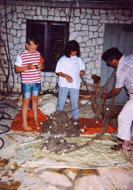 Holiday Apartment in Sevid  (Splitsko-Dalmatinska) or holiday homes and vacation rentals