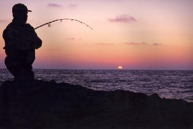 Holiday Apartment in Sevid  (Splitsko-Dalmatinska) or holiday homes and vacation rentals