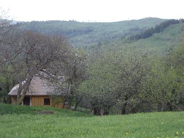 Holiday House in Bisoca (Buzau) or holiday homes and vacation rentals