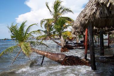 Holiday Apartment in Tol� (Sucre) or holiday homes and vacation rentals