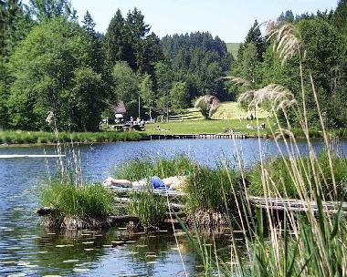Holiday Apartment in Rieden am Forggensee (Bavarian Swabia) or holiday homes and vacation rentals