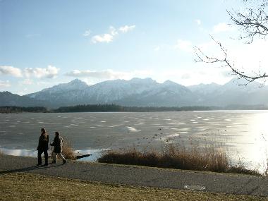 Holiday Apartment in Rieden am Forggensee (Bavarian Swabia) or holiday homes and vacation rentals