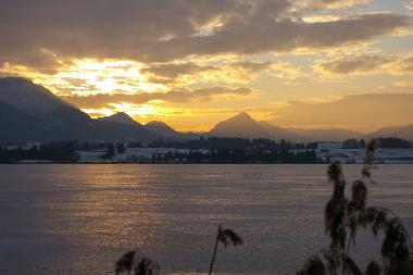 Holiday Apartment in Rieden am Forggensee (Bavarian Swabia) or holiday homes and vacation rentals