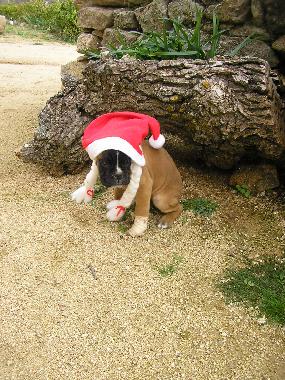 Holiday House in luelmo (Zamora) or holiday homes and vacation rentals