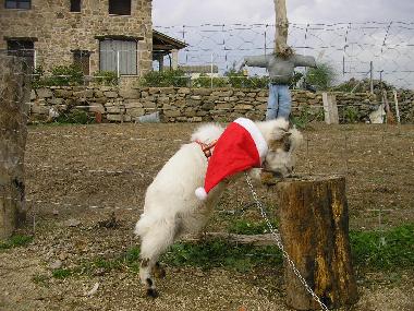 Holiday House in luelmo (Zamora) or holiday homes and vacation rentals