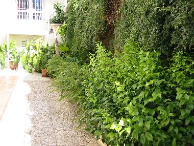 Holiday Apartment in MLAGA (Mlaga) or holiday homes and vacation rentals