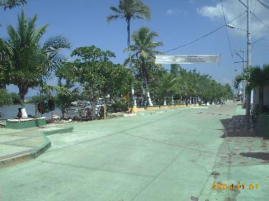 Av. la playa de Tol�
