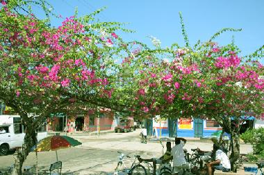 Centro de Tol�