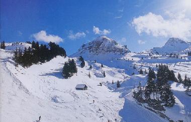 Holiday Apartment in chatel (Hautes-Alpes) or holiday homes and vacation rentals