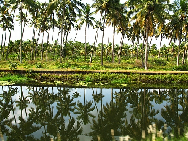 Holiday House in Vaikom (Kerala) or holiday homes and vacation rentals
