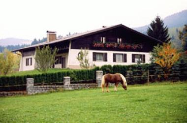 Holiday Apartment in Hohenwarth (Upper Palatinate) or holiday homes and vacation rentals