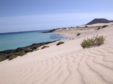 Holiday Apartment in Corralejo (Fuerteventura) or holiday homes and vacation rentals