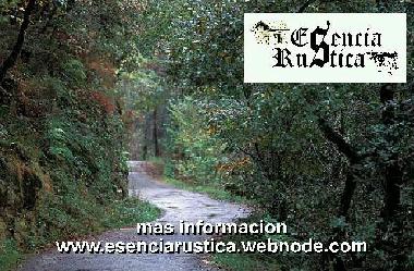 Holiday House in Curtis (A Corua) or holiday homes and vacation rentals