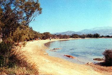 The sandy beach in front of the house