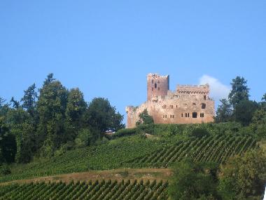 Holiday Apartment in KINTZHEIM (Bas-Rhin) or holiday homes and vacation rentals