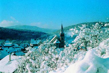 Holiday Apartment in KINTZHEIM (Bas-Rhin) or holiday homes and vacation rentals