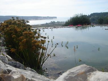 Holiday House in  Foz do Arelho (Oeste) or holiday homes and vacation rentals