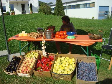 Holiday House in Podstrana (Splitsko-Dalmatinska) or holiday homes and vacation rentals