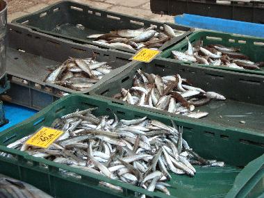 Holiday House in Podstrana (Splitsko-Dalmatinska) or holiday homes and vacation rentals