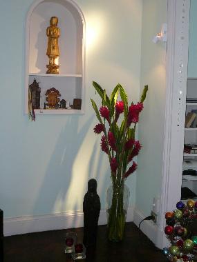 point of Deco