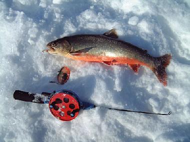 Holiday House in Algana (nahe Arjang) (V�rmland) or holiday homes and vacation rentals