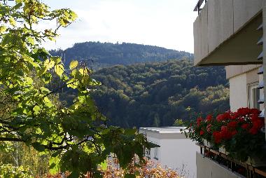 Holiday Apartment in Baden-Baden (Black Forest) or holiday homes and vacation rentals