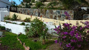 Holiday Apartment in Playa San Marcos (Teneriffa) or holiday homes and vacation rentals