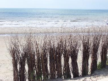 Holiday Apartment in Bredene (Flanders) or holiday homes and vacation rentals