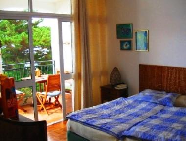 Holiday Apartment in Canico de Baixo (Madeira) or holiday homes and vacation rentals